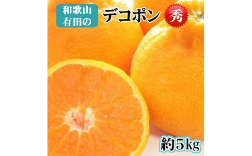 【先行予約】【秀品】デコポン 和歌山有田 約5kg