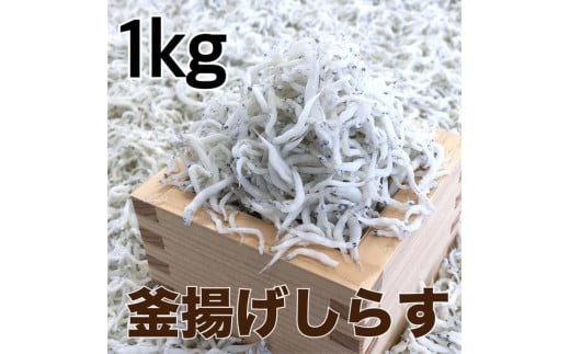 釜揚げしらす1kg(500g×2パック) / シラス 厳選 小分け 冷蔵便【dig012A】
