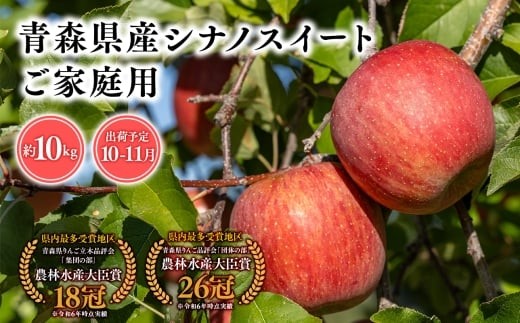 2026年産１０月・１１月発送　【訳あり】家庭用シナノスイート10kg【青森県 平川市 そと川りんご園】１０月～１１月発送 家庭用 青森 青森県産 平川 りんご リンゴ 林檎 くだもの 果物 フルーツ 