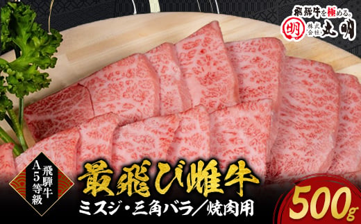 ＜最飛び雌牛＞飛騨牛A5等級ミスジ・三角バラ焼肉用　500g【1520156】