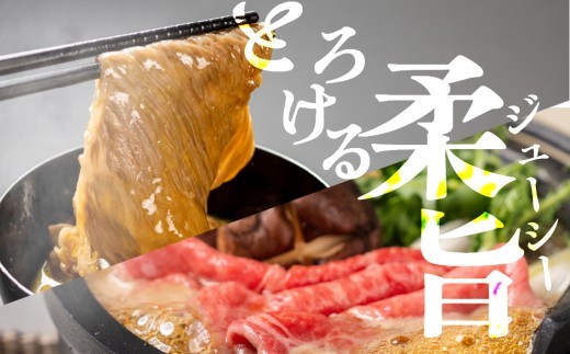 飛騨牛 赤身 牛肉 スライス すき焼き しゃぶしゃぶ用 冷凍発送