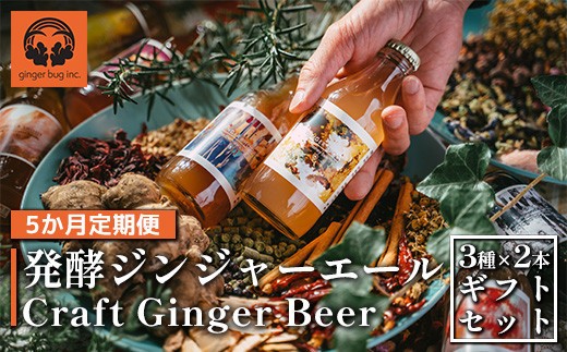 【5か月定期便】発酵ジンジャーエール ＜3種×2本＞×5回 【11100-0181】