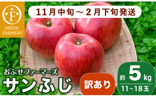 【訳あり】先行受付 サンふじ 約5kg 11~18玉[おぶせファーマーズ]  不揃い 規格外 家庭用 りんご 林檎 リンゴ 果物 フルーツ ふじ 長野 信州 数量限定 令和8年産 【2026年11月中旬~2027年2月下旬発送】[F-24]