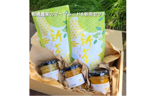 相模湾を望む畑より柑橘農家の身体に優しいマーマレード3種セット&初摘み新茶2袋をお届け!【1738151】