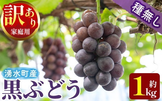 y601 ≪先行予約受付中！2026年8月中旬以降順次発送≫  訳あり！黒ぶどう(約1kg) 国産 九州産 鹿児島産 湧水町 巨峰 ピオーネ クインニーナ BKシードレス 葡萄 ぶどう ブドウ 果物 くだもの フルーツ 旬 訳アリ ワケあり 家庭用 種無し 種なし 【大倉野 隆】 2630195 - 鹿児島県湧水町