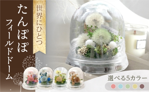 たんぽぽフィールドドーム　世界にひとつ　/ プリザーブドフラワー　アレンジメント 花材 お花ギフト / 大村市 サニーサイドファクトリー [ACCK004]