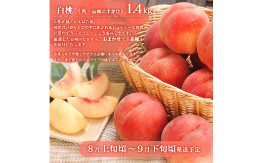 【2品目】白桃 品種おまかせ 【秀品】 1.4kg