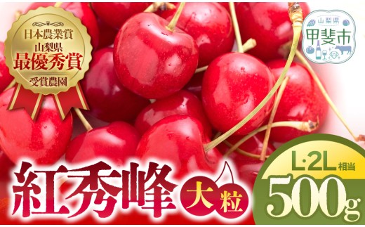 【先行予約・期間限定】さくらんぼ 紅秀峰 500g(L・2Lサイズ相当)さくらんぼ フルーツ 果物 紅秀峰 サクランボ ギフト 山梨 予約 贈答 高級 大粒 山梨県甲斐市 CY-3