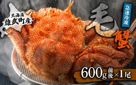 オホーツク産 オホーツク 毛がに 毛ガニ 毛蟹 蟹 カニ 600g 1尾 かに かにみそ カニみそ かに味噌 濃厚 北海道オホーツク産 海産物 海産 海鮮 魚介 魚貝 魚介類 冷凍 ふるさと納税 北海道 雄武町 雄武【1240702】