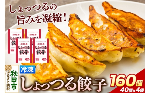 秋田名物 しょっつる餃子 40個入×4袋 秋田のしょっつるを使用 秋田県 秋田市 冷凍発送 生ぎょうざ [ぎょうざ チルド しょっつる 生餃子] 2704419 - 秋田県秋田市