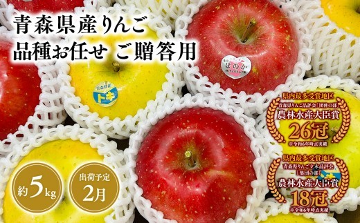 2027年2月発送　品種お任せ　贈答用　旬のりんご詰め合わせ5kg【青森県 平川市 そと川りんご園】