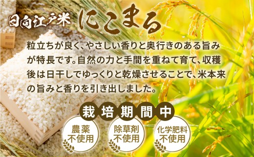 【2か月定期便】天日干しが引き出す お米の旨味 日向江戸米（にこまる）【玄米】合計10kg 国産米 ブランド米 農薬不使用 化学肥料不使用 無農薬 ごはん ご飯 おにぎり お弁当 冷めても美味しい もっちり食感 和食 主食 人気 おすすめ 宮崎県 綾町 送料無料_A0038-035