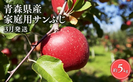 ≪3月発送≫【訳あり】家庭用 サンふじ5㎏【青森県 平川市 丸勝木村商店】平川市産 青森りんご りんご リンゴ 林檎 ふじ 訳あり 家庭 わけあり お取り寄せ 先行予約 果物 くだもの フルーツ