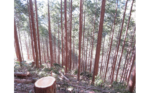 豊かな自然と生活が共存するまちづくり事業