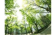 6．自然・環境保全に関する事業