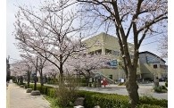 スポーツ振興基金