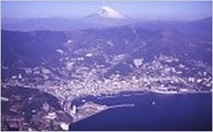 ①市長におまかせ