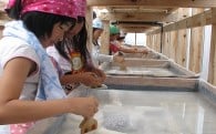 子ども子育ての支援及び教育の充実