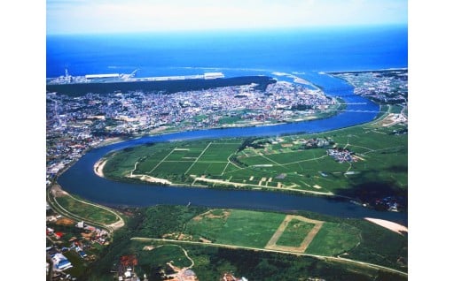 市政全般（市におまかせ）