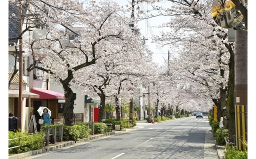 芦屋市大学等入学支援基金