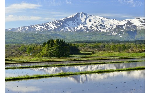 ３．ふるさとの豊かな自然環境や美しい景観を保全したい