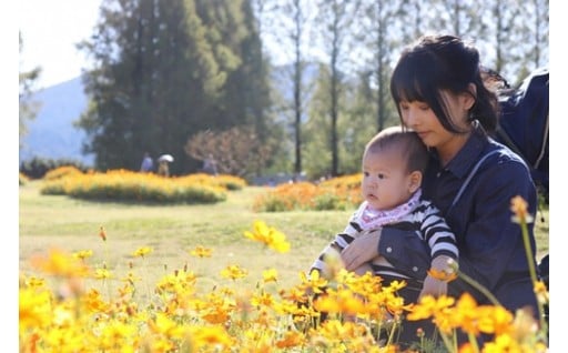 菜の花エコプロジェクト等の環境施策に関する事業(リサイクル日本一のまちの更なる進化)