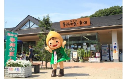 3 幸田から全国へ世界へ(産業振興に関する事業)