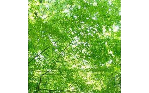 2.環境に関すること