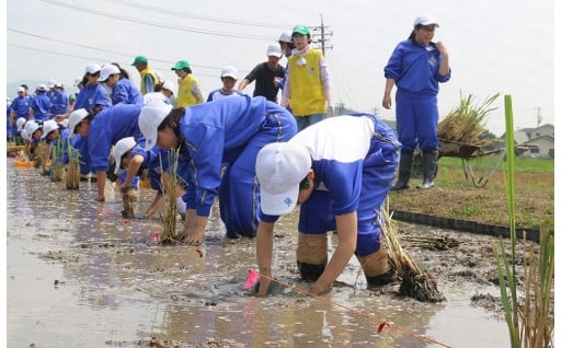 活力と魅力あふれる元気なまちづくり【産業】