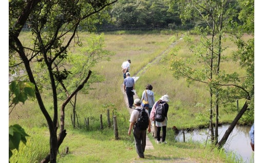市東部の丘陵地における緑豊かな自然環境の保全の推進