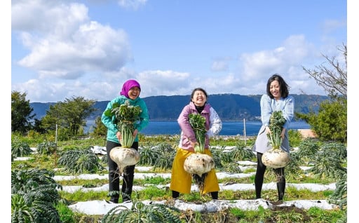 ３　魅力にあふれ人が集う　活力あるまち【産業・交流政策】