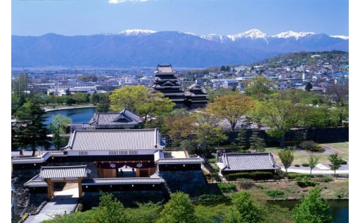 その他（松本市にお任せ）