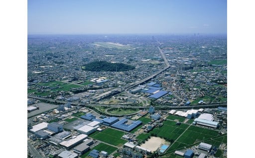 8.市長におまかせコース