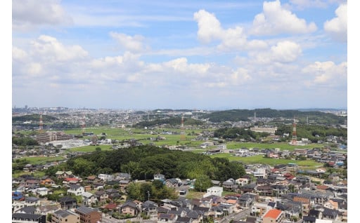 ゼロカーボンシティの実現に向けた、環境の保全及びカーボンニュートラル事業の推進