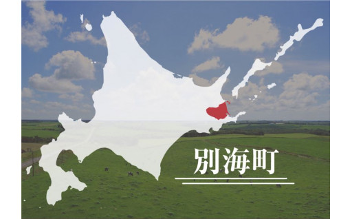 千島海溝周辺海溝型地震ほか災害への対応、デジタル化の推進ほか自治基盤の強化に資する事業