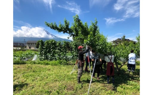 (5)産業活性化支援事業