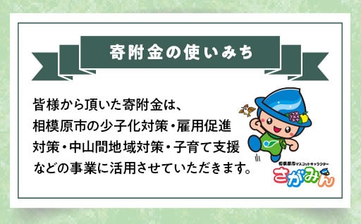 地方創生さがみはら地域活性化応援コース
