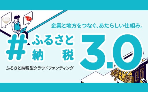 (17)#ふるさと納税3.0支援事業