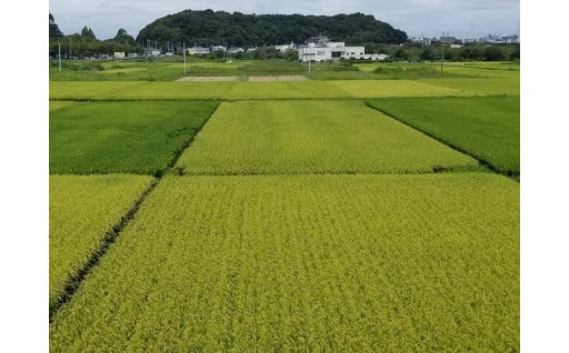農水産業を「守り」「はぐくみ」「次世代につなぐ」ために