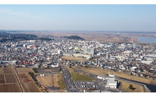 その他市長が必要と認める事業