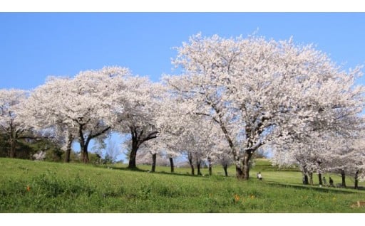 22. 太田市みらい給付型奨学金の事業応援※返礼品なしの場合のみ選択可能