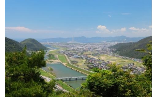 7　その他目的達成のために市長が必要と認める事業