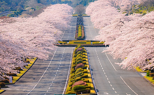 ①安全・安心なまちづくり（防災・防犯・町民生活）