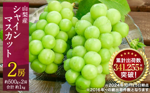 2026年発送 ＞シャインマスカット 2房 (約1kg) 山梨県産フルーツ 人気