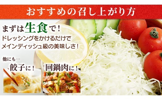 7月中旬発送開始】 《 3か月 定期便 》 訳あり まぼろしの419キャベツ