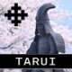 岐阜県　たるいちょう