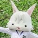 高知県 こうなんし