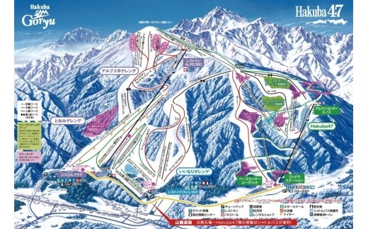 エイブル白馬五竜スキー場u0026Hakuba47 共通リフト券4枚 | nate-hospital.com