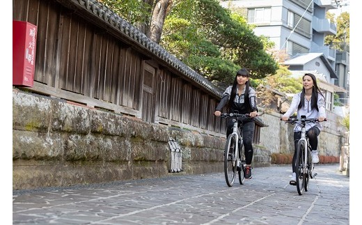 120-001 コナステイ伊豆長岡 平日限定 1泊朝食付 ペア宿泊券（4時間の 