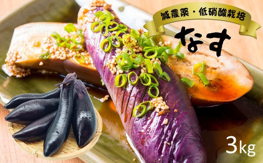 CF1 『平岡農園』の減農薬・低硝酸栽培 ナス 3kg 熊本県玉名 - 熊本県